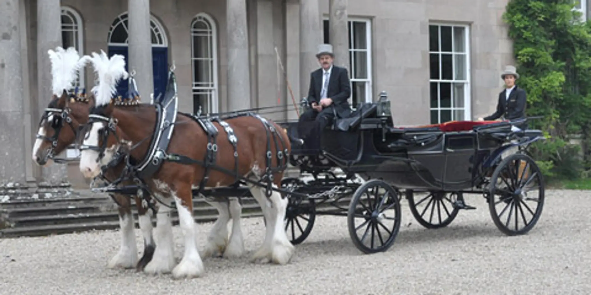 Glebeview Clydesdale Services
