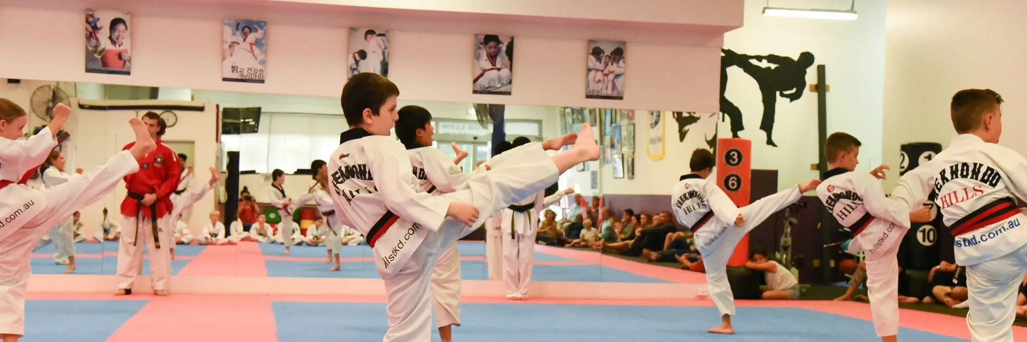 Hills District Taekwondo