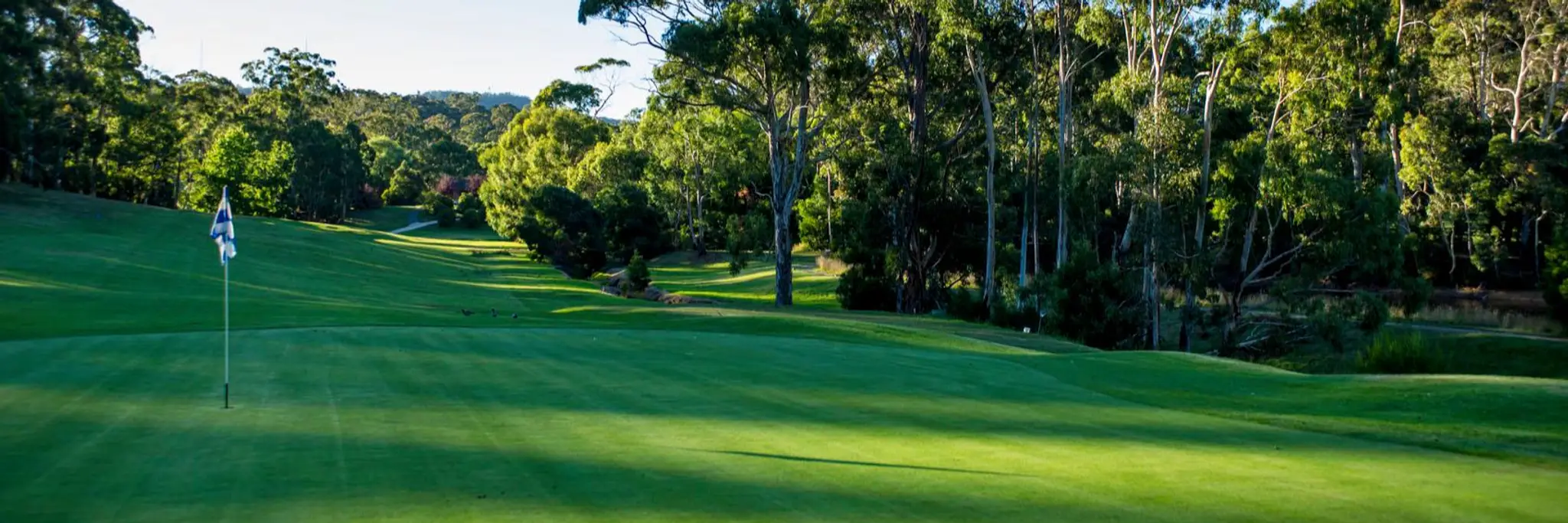 The Stirling Golf Club