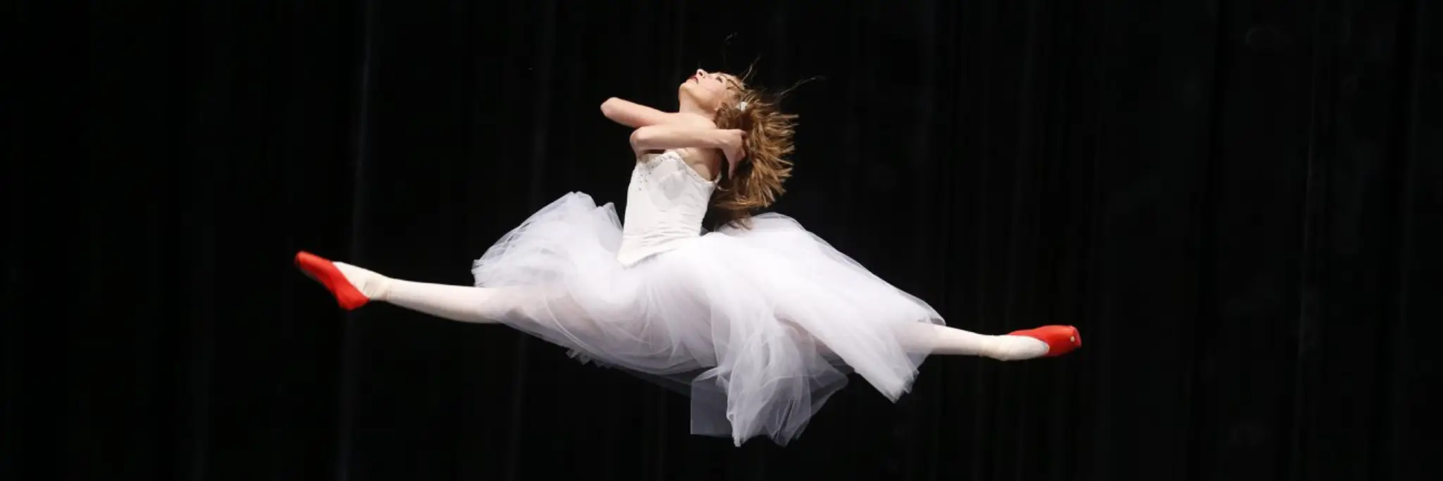 Dynamite Premiere Academy