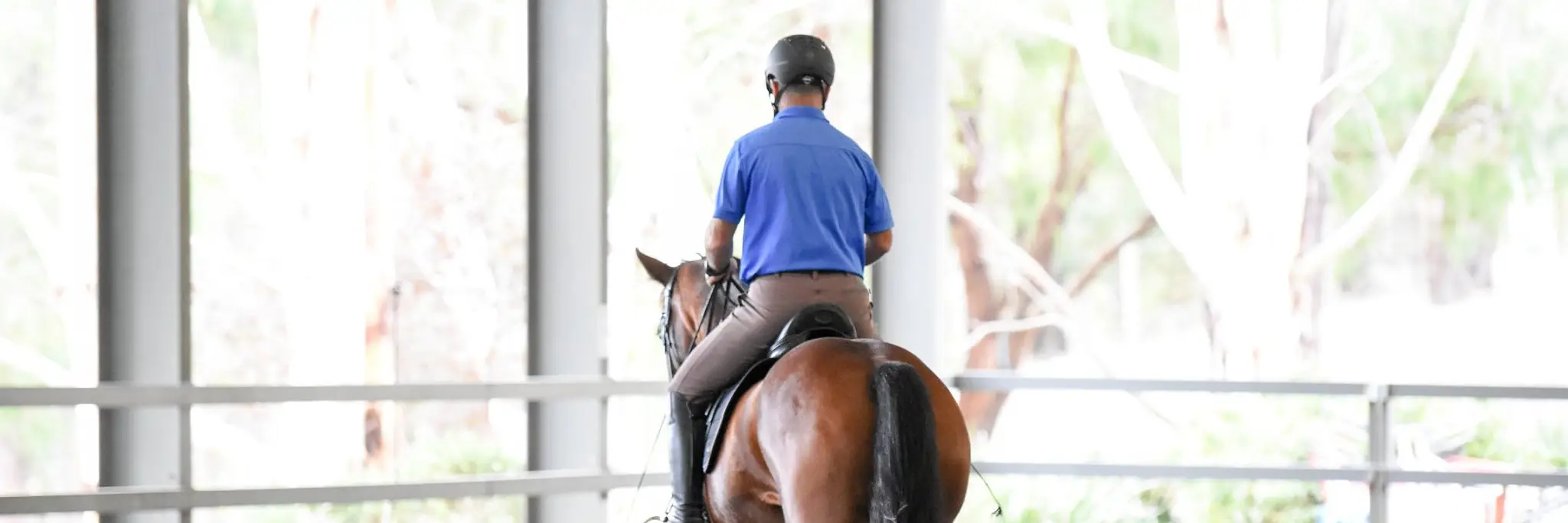 Enlightened Equitation