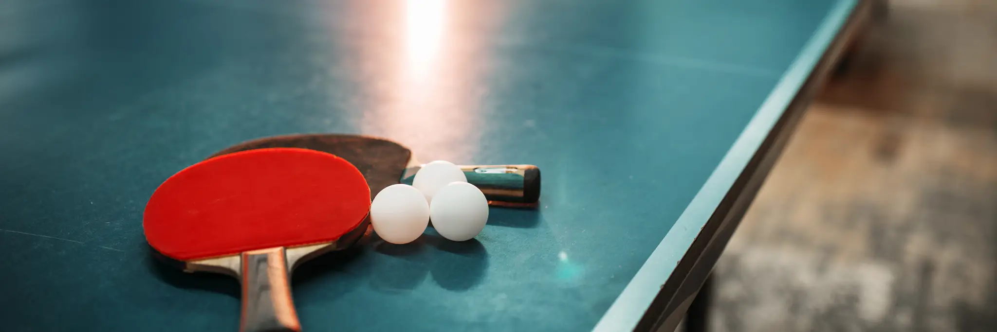 Mounties Table Tennis Club