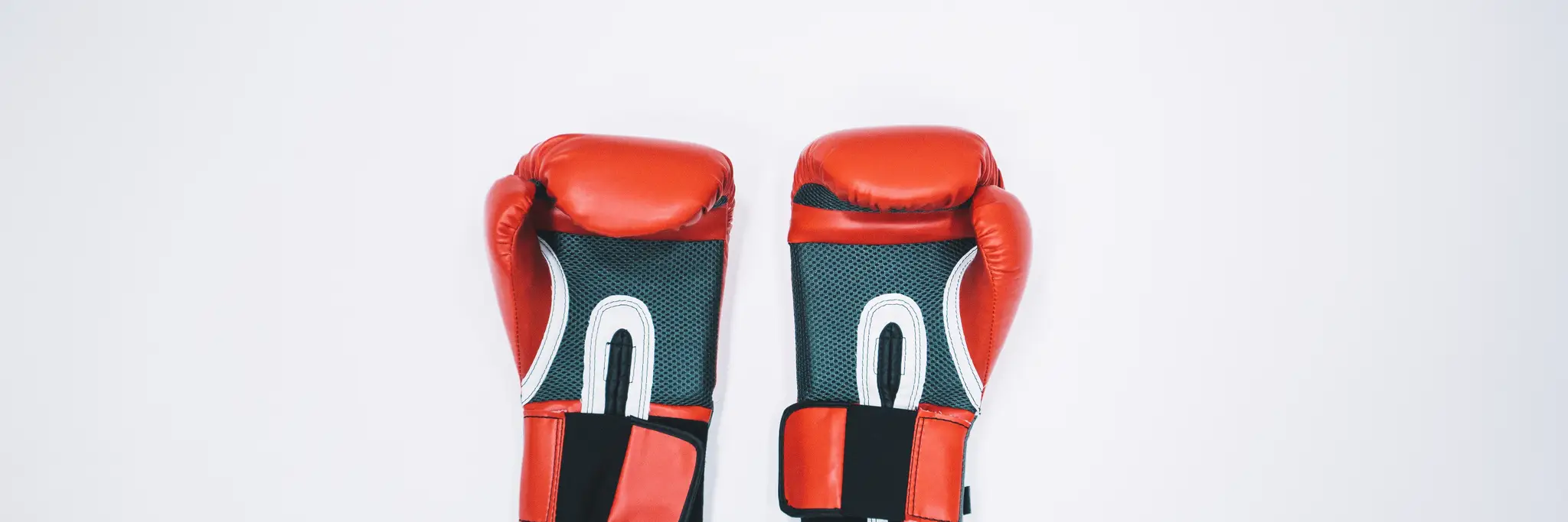 Euro School of Boxing