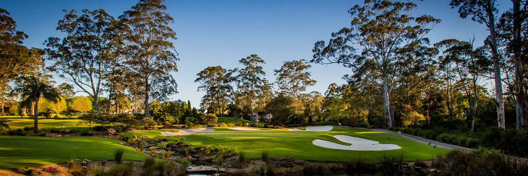 Pymble Golf Club 