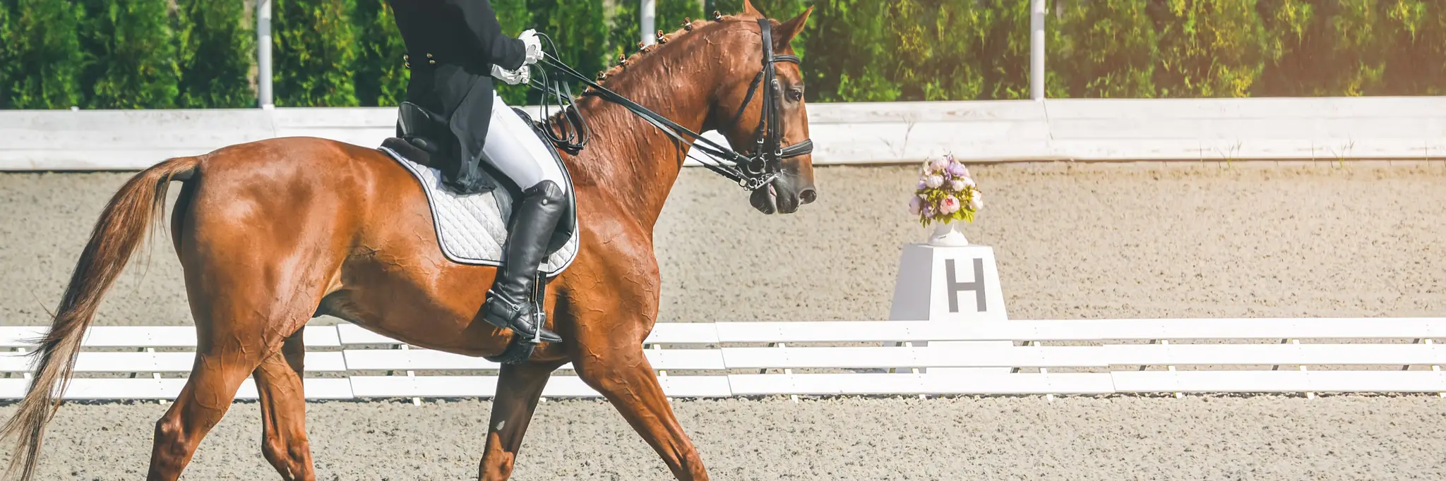 Eastside Horse Riding Academy