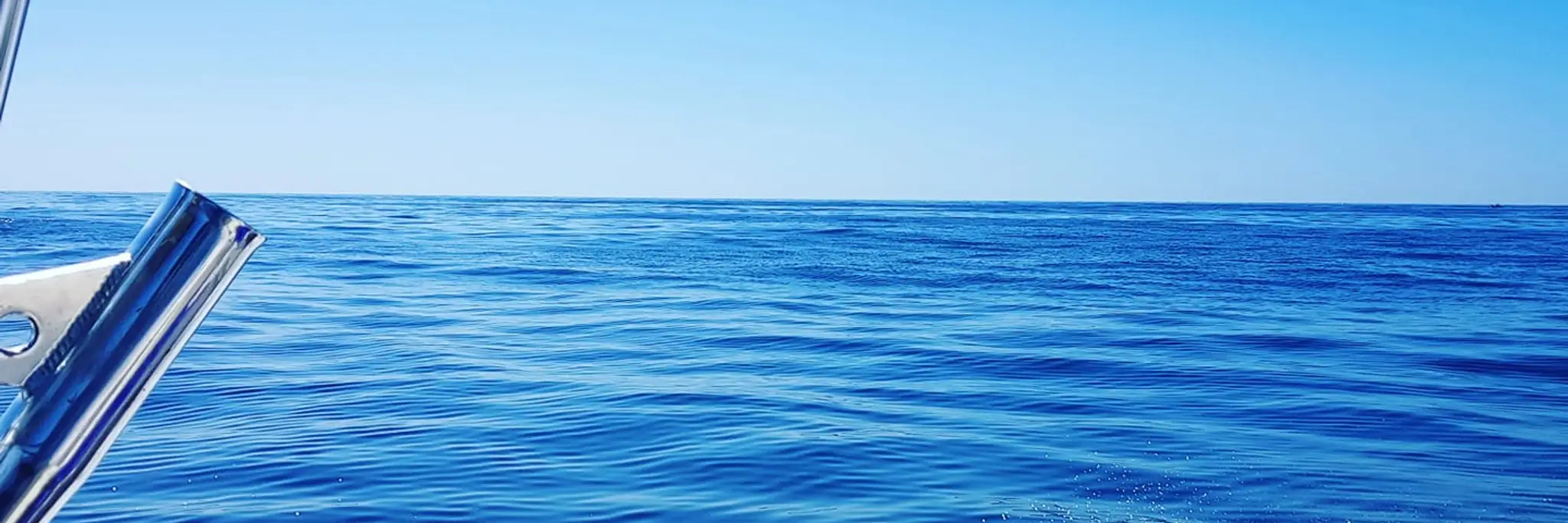 Newport Arms Fishing Club