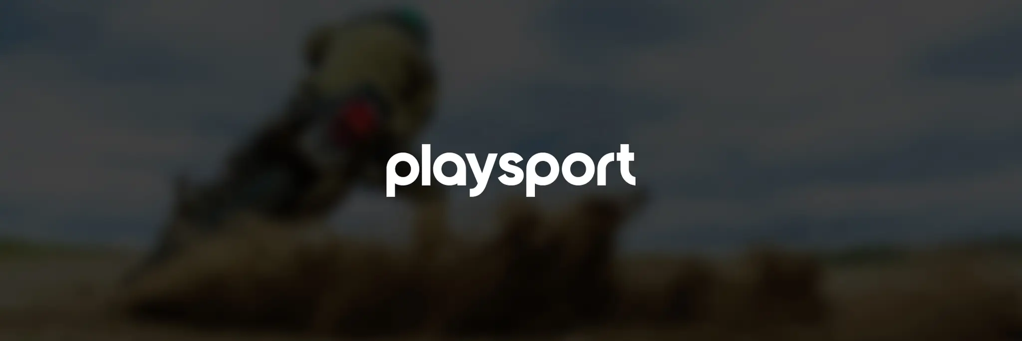 Eltham District Horse and Pony Club