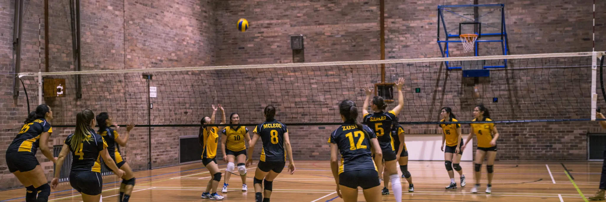 UNSW Volleyball