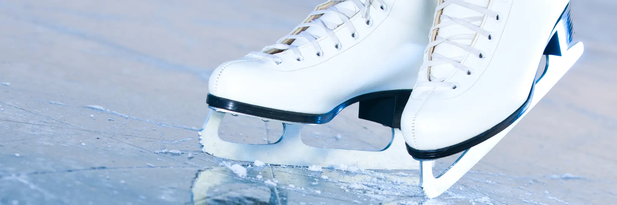 Evolution On Ice