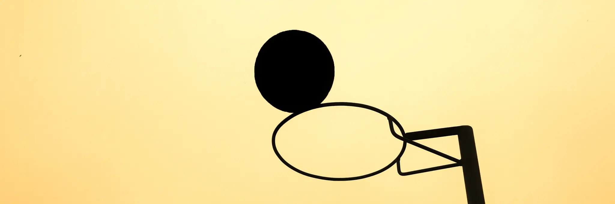 Lane Cove Public School Netball Club