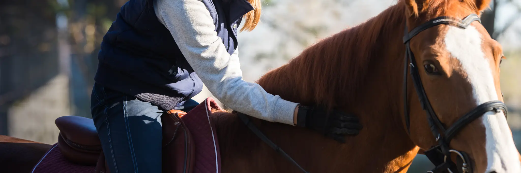 Manly Warringah Pittwater Pony Club