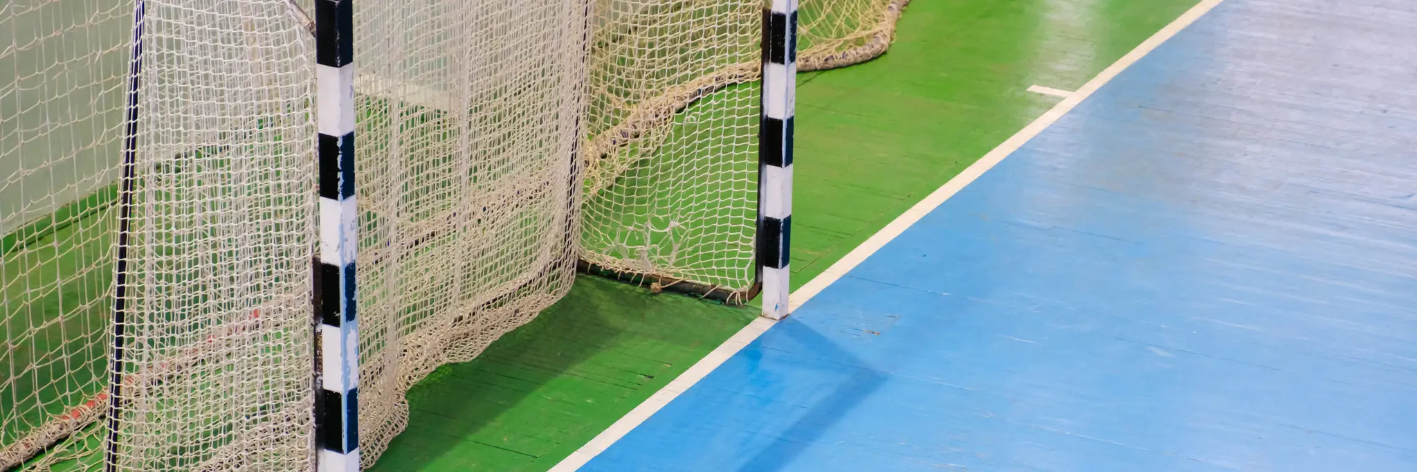 Mascot Vipers Futsal Club