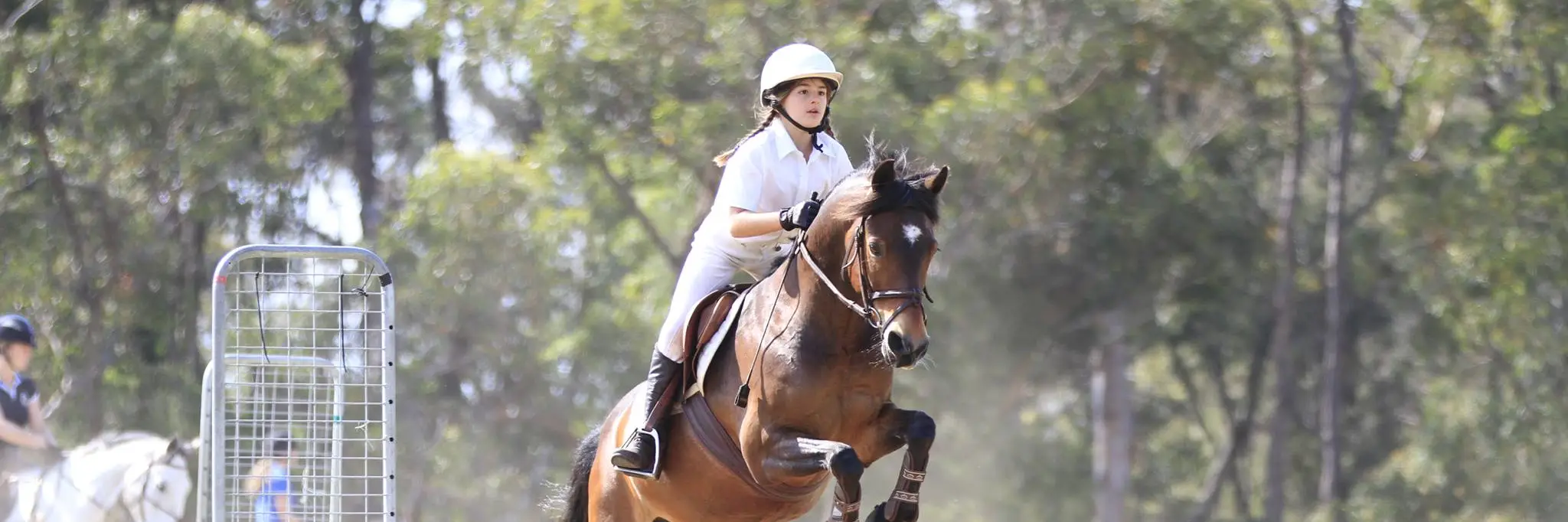Yarramalong Equestrian Specialists