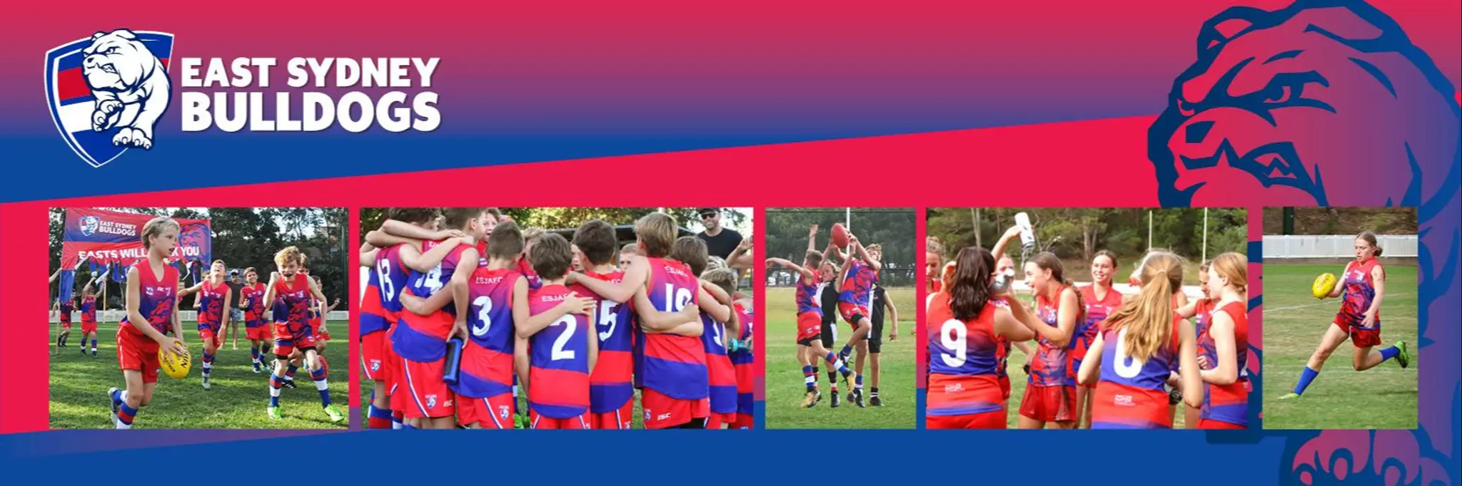 East Sydney Bulldogs