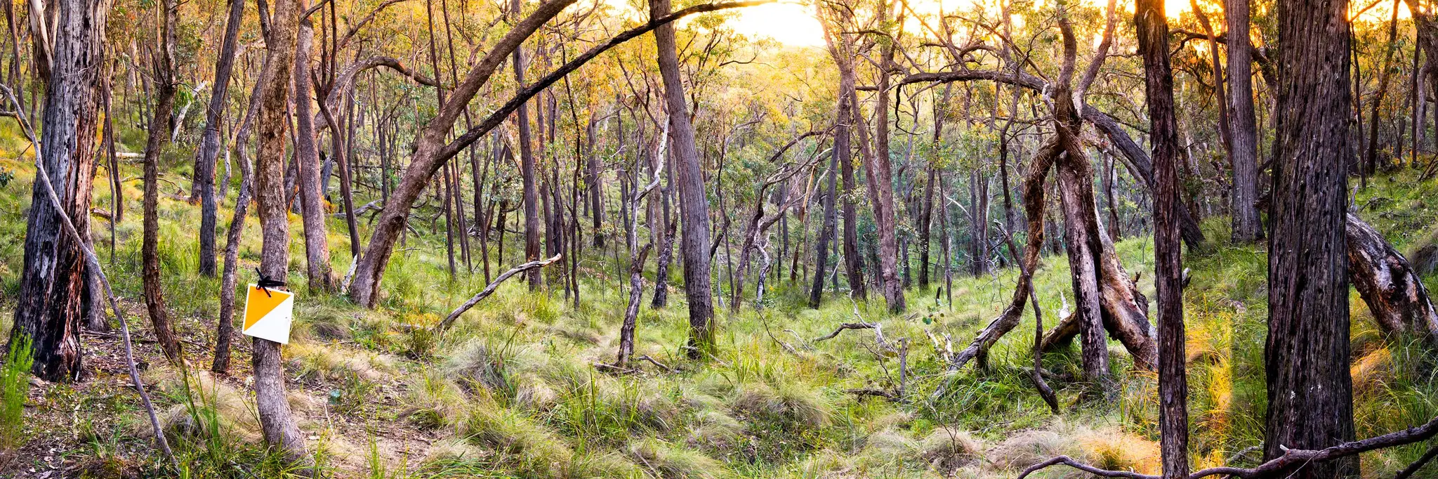 Victorian Rogaining Association