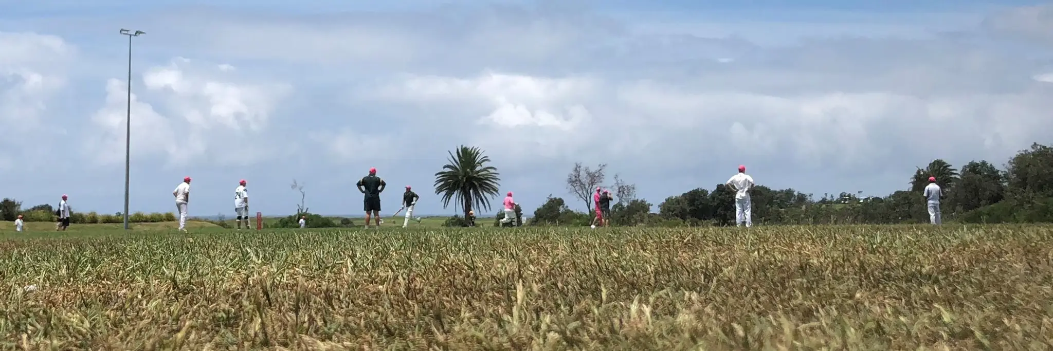 Long Reef Cricket Club