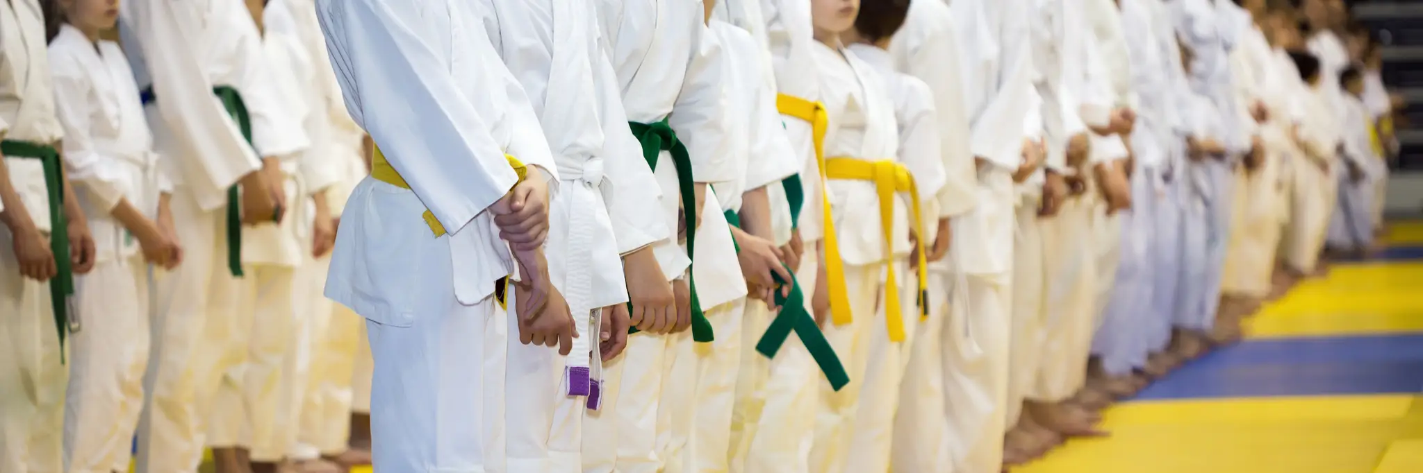 Northern Beaches Judo Club