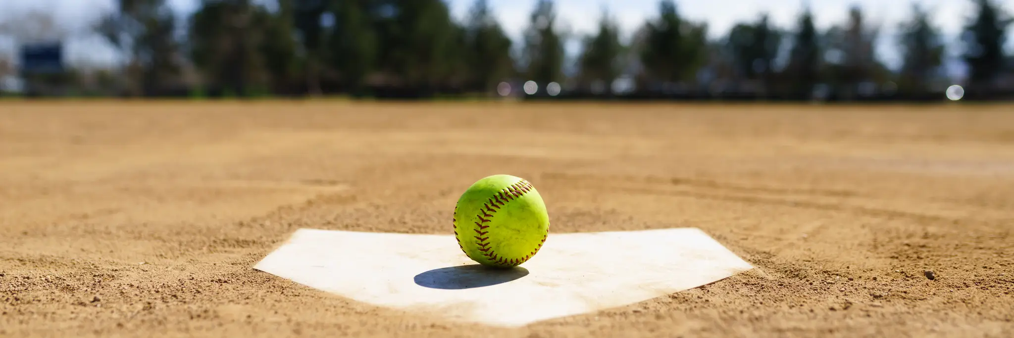 Mounties Softball Club - State League