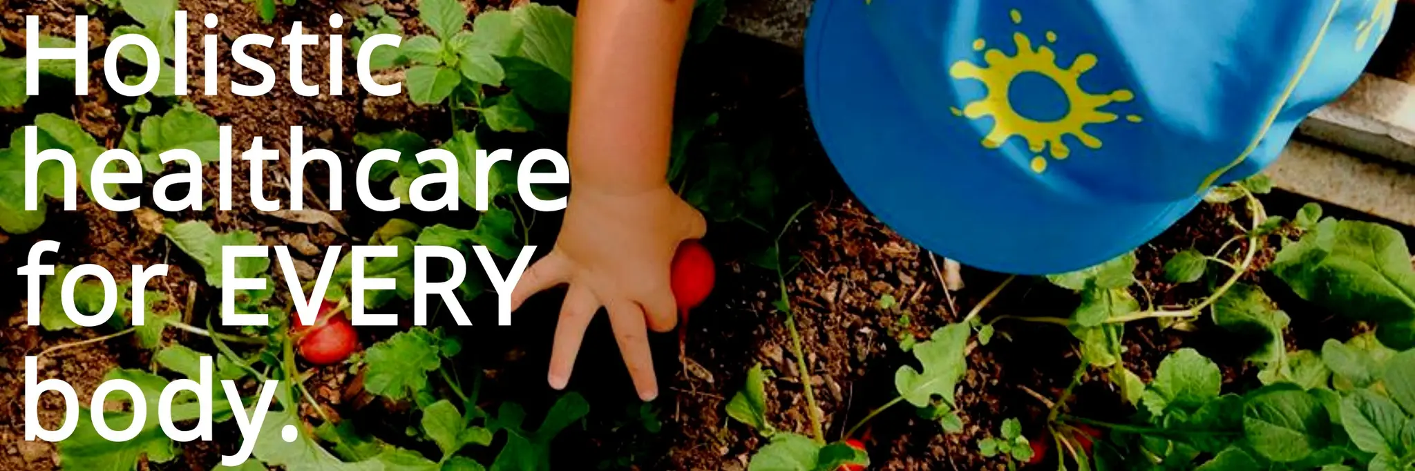 Funky Forest Health & Wellbeing - Coomera