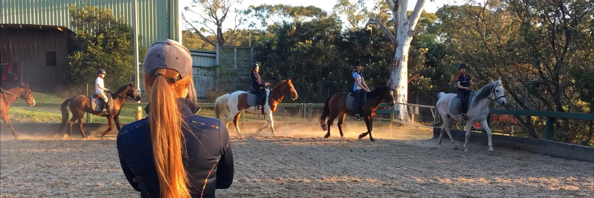 Palomino Riding School