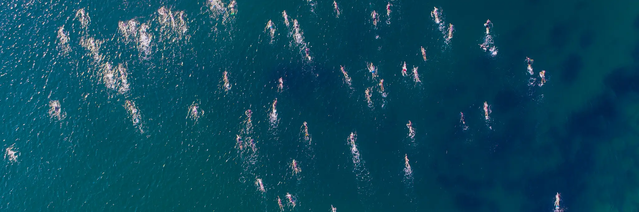 Babewatch Ocean Swimming