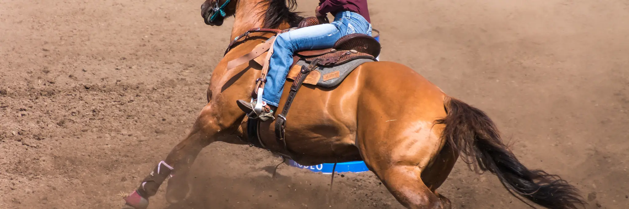 Australian Barrel Horse Association 