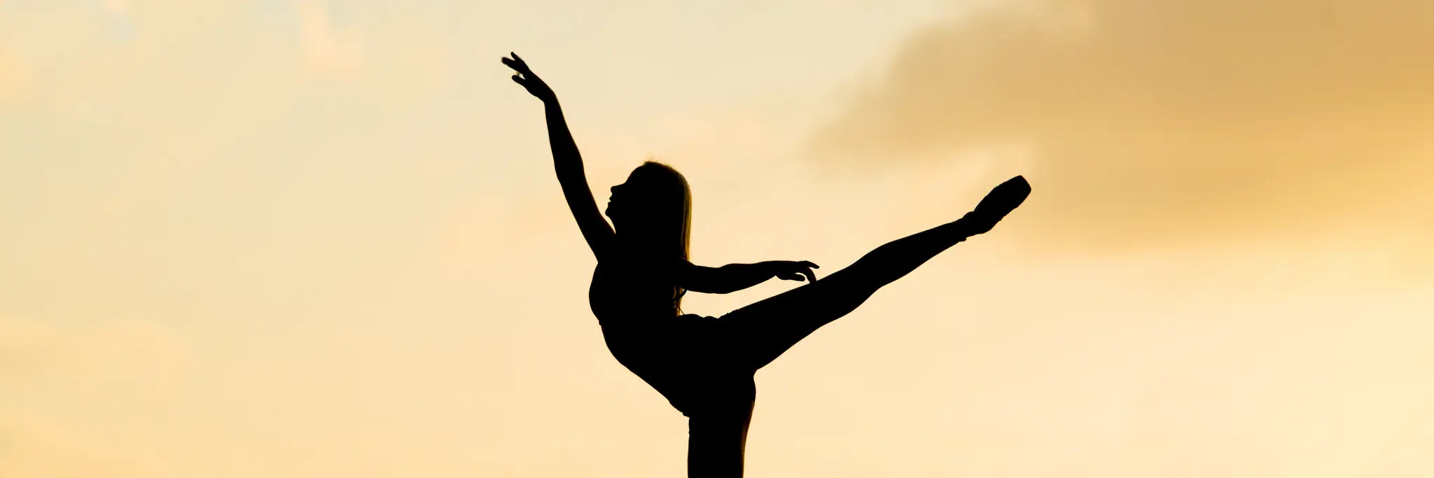 The Teresa Johnson Ballet School