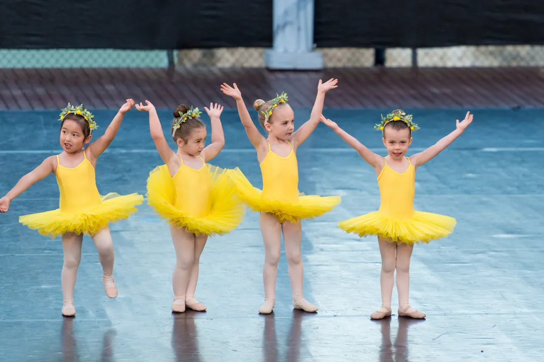 Pevnev Ballet Academy