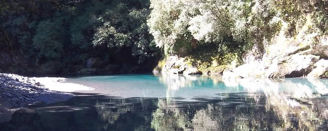 Guided Fly fishing