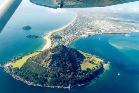 Fall for Tauranga