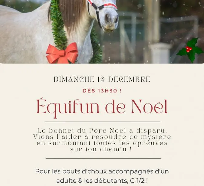 Equifun de Noël