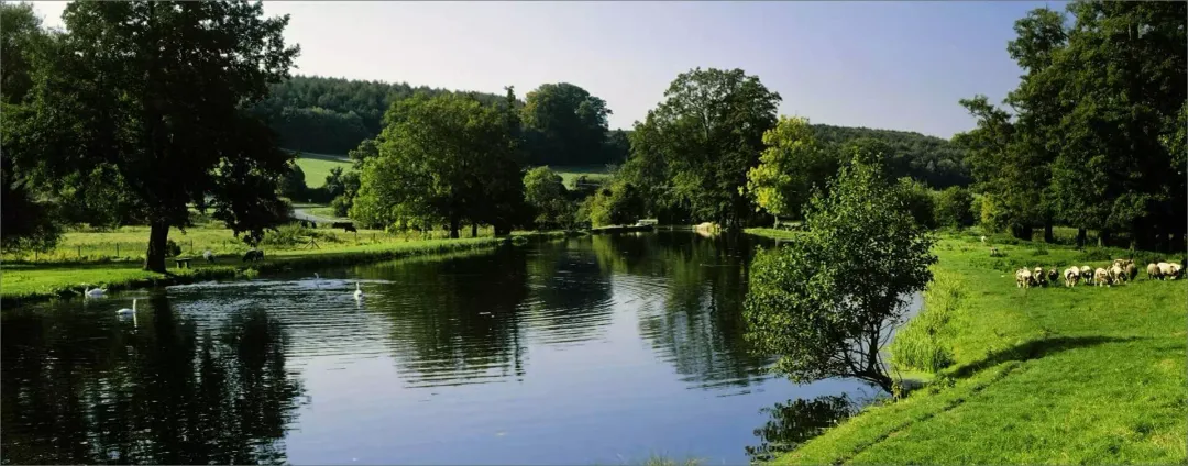 Blythe Waters Fishery