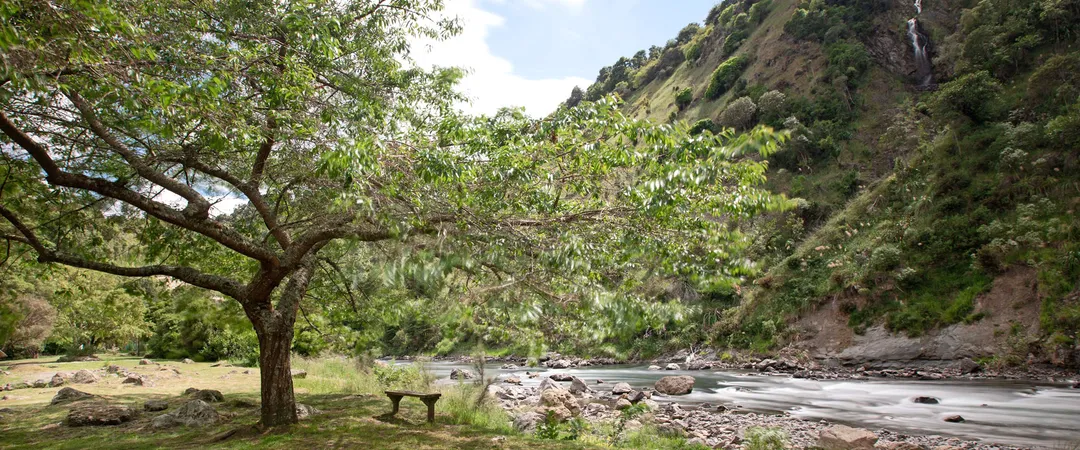 Burn the Breeze - Half Day Horse Trek