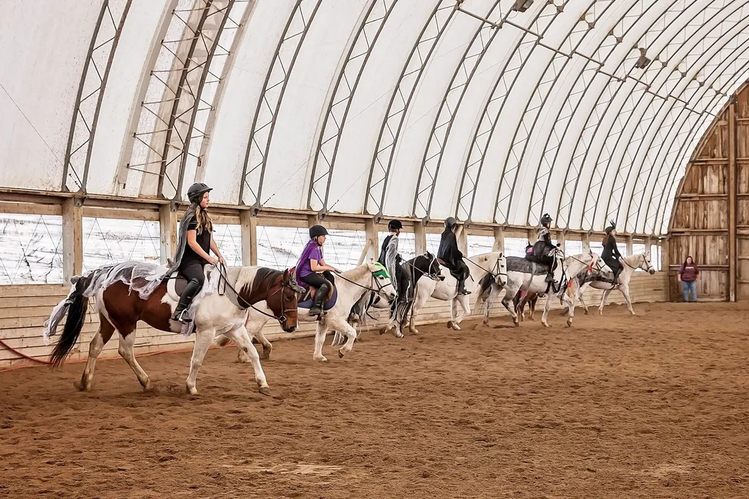 Christmas Musical Ride Performance