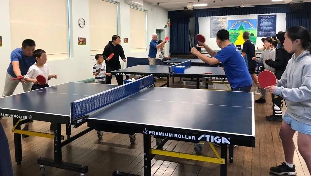 Table Tennis Classes for Adults and Children