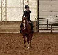 Dressage Schooling Show at Shady Maple Stables