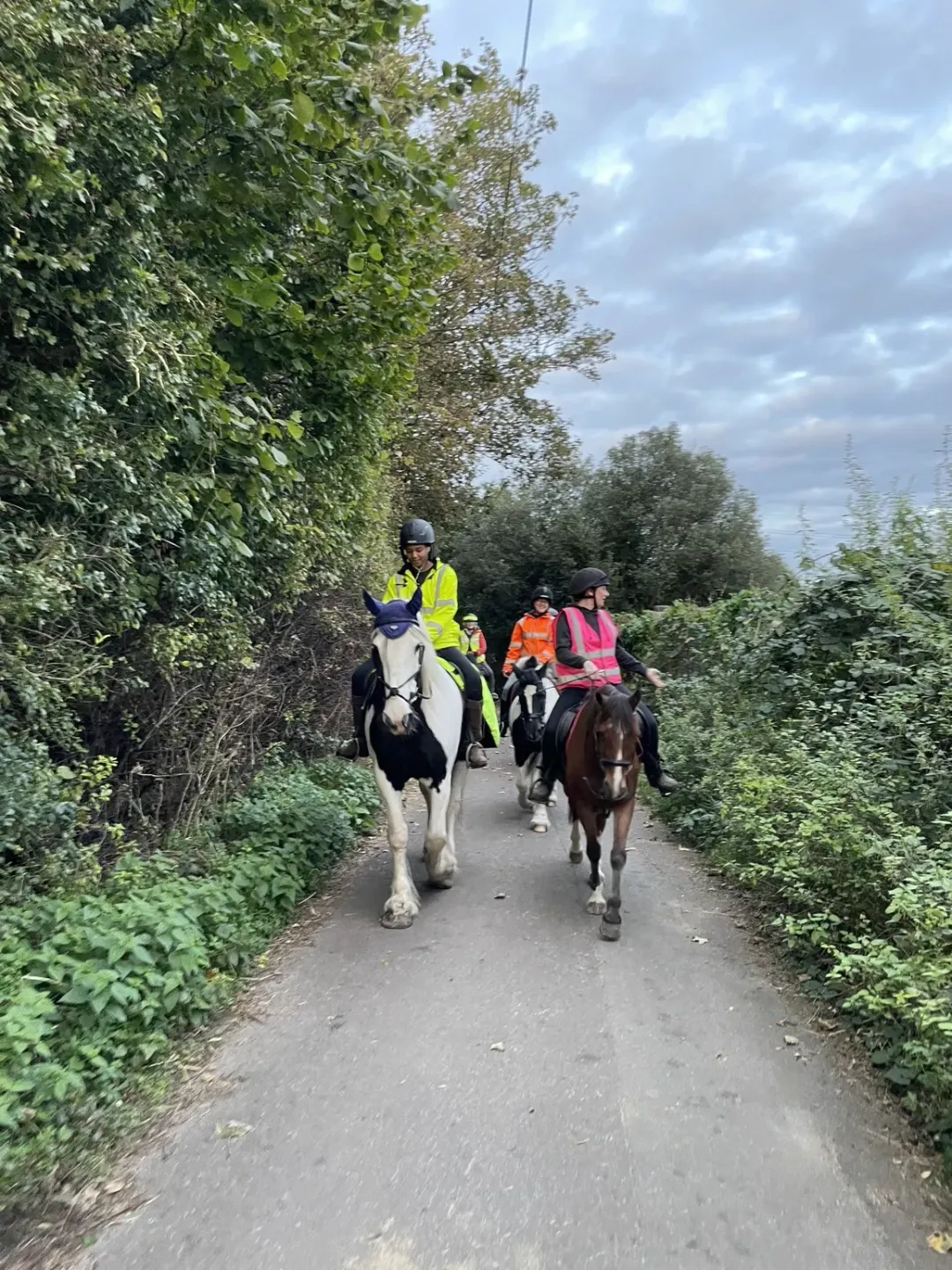 Back in the Saddle