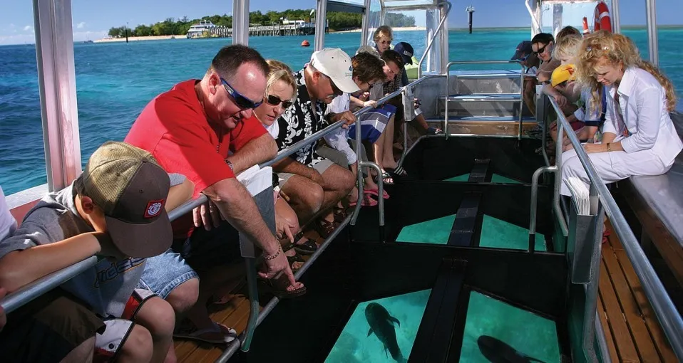Learn to Scuba Dive in Cairns