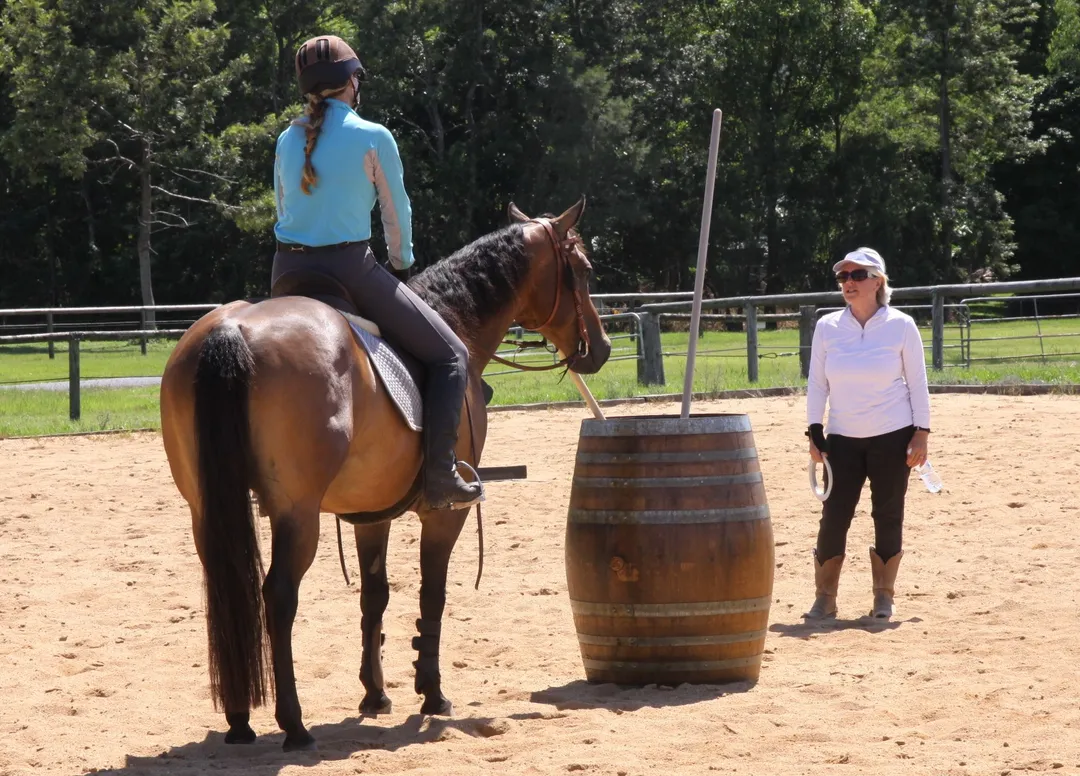 May 22nd Show Jump Competition