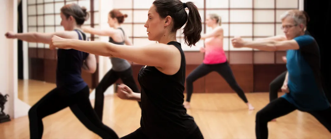 Shadow Hatha Yoga Group & Individual Tuition Classes
