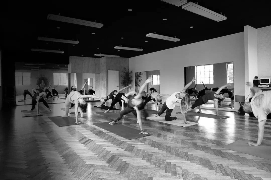 Ancestral Voices Forrest Yoga Workshop series