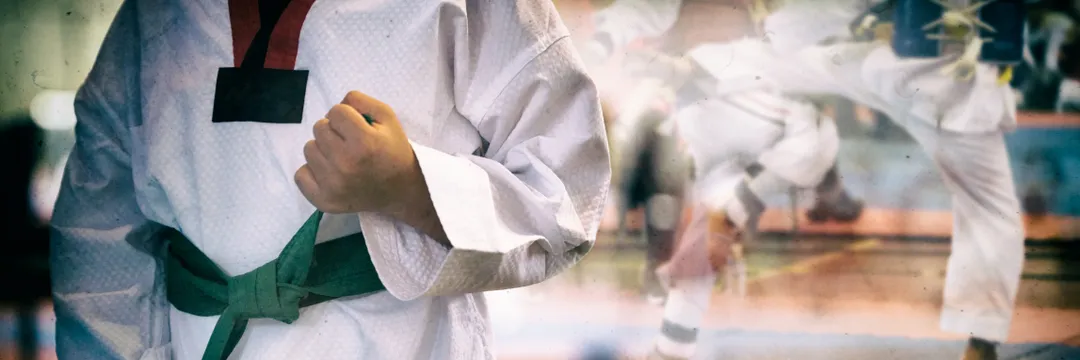 Taekwondo Training
