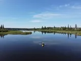 Thompson's Resort Spring Bear Hunt