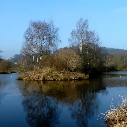 Larkhall Pool
