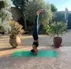 Yoga Classes