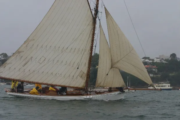 Temporary Membership SailPass