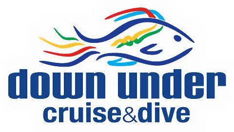 Full Day Reef Cruise