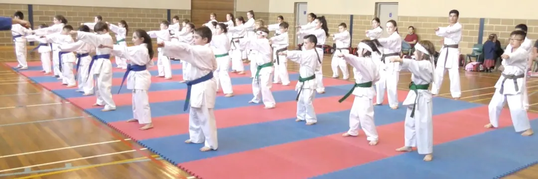 Intermediate Karate