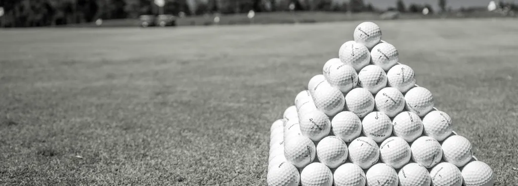 SwingFit Golf Academy Flex Memberships