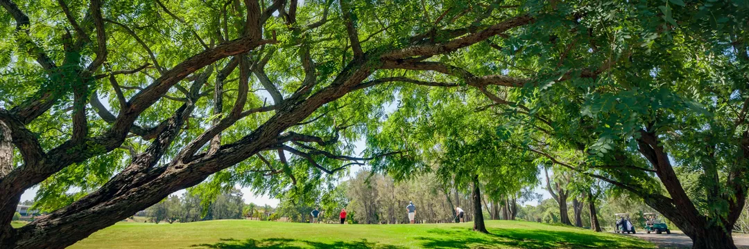 Fundamental Swingers Program